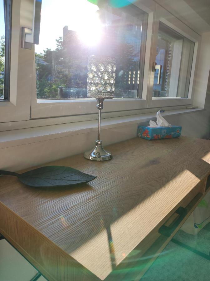 Luxurioeses Penthouse Mit Blick Auf Die Uno-City Und Dem Kaiserwasser. 3Schlafzimmer, 2 Baeder, Privat Lift Ins Apartment Виена Екстериор снимка